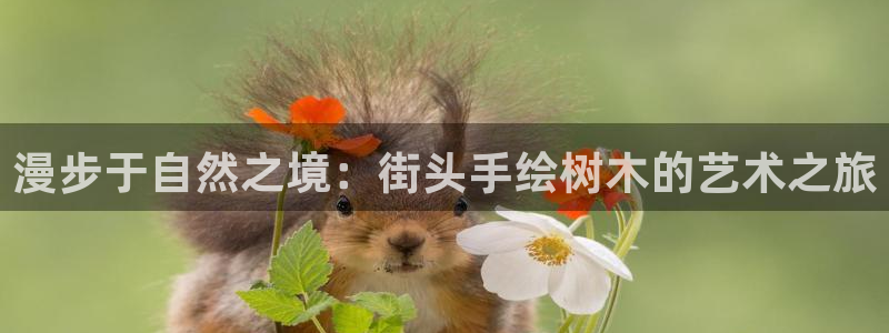 sky娱乐畅通卧龙86877