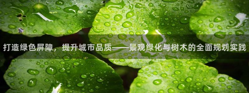 南阳卧龙站到尊上娱乐