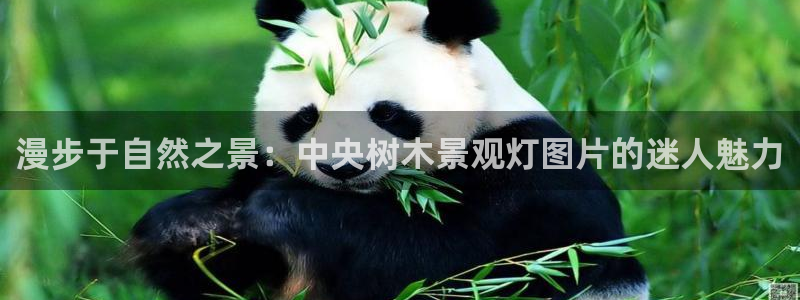 太和卧龙娱乐会所