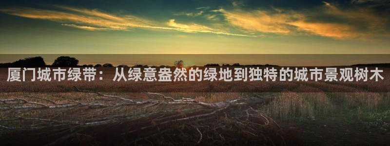 qq娱乐 卧龙主管60447