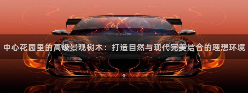 卧龙岗娱乐