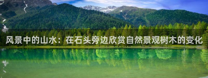 大娱乐家卧龙先生