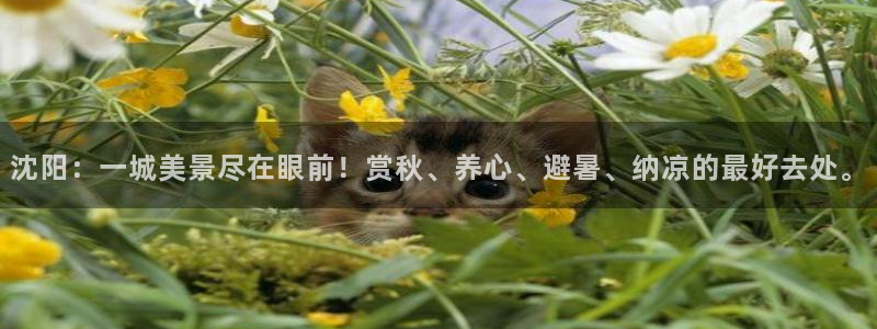 卧龙台球娱乐馆