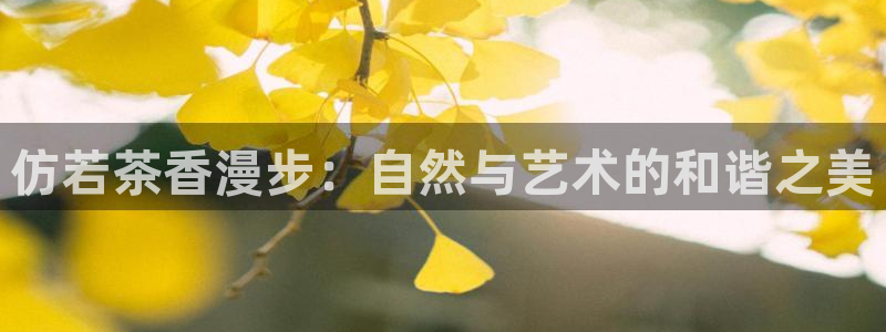 卧龙娱乐老板是谁呀视频