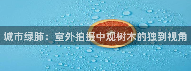 卧龙娱乐能出款吗