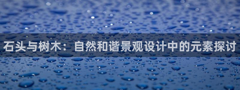 卧龙娱乐气垫项目投资