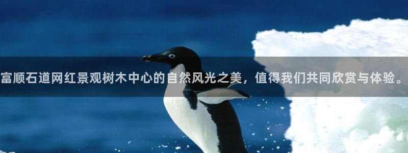 卧龙娱乐彩票兑奖中心