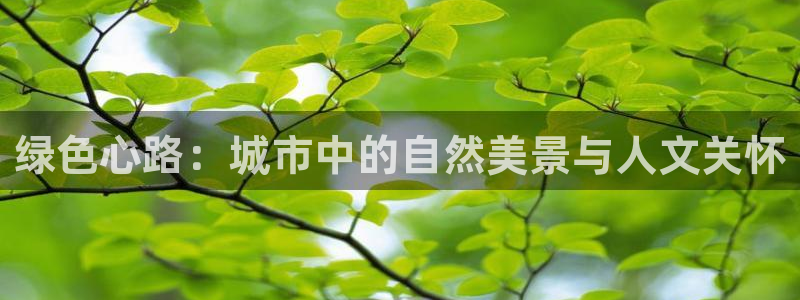 卧龙娱乐开户
