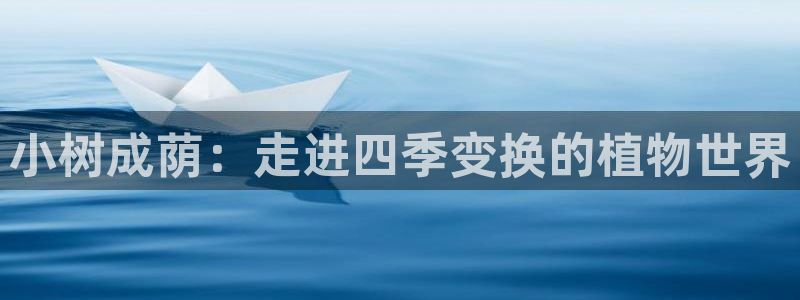 卧龙区维也纳娱乐会所