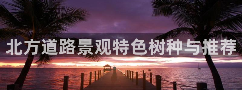 卧龙娱乐在线下载