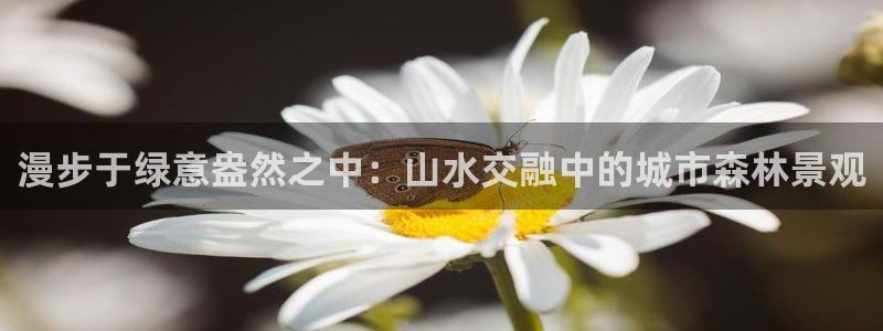qq娱乐 卧龙招商60447
