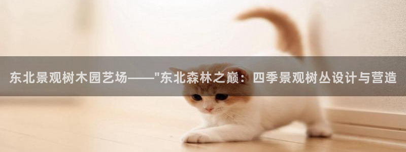 卧龙娱乐总代