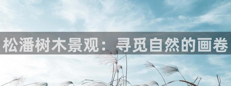 卧龙娱乐是哪个系列