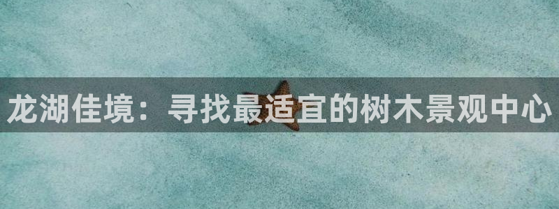 卧龙湾娱乐休闲会所电话