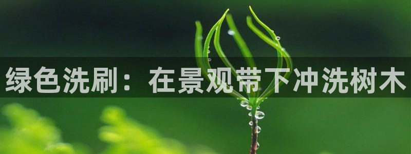 sky娱乐 扣卧龙60447：绿色洗刷：在景观带下冲洗树木
