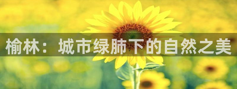 hr娱乐 卧龙股东60447