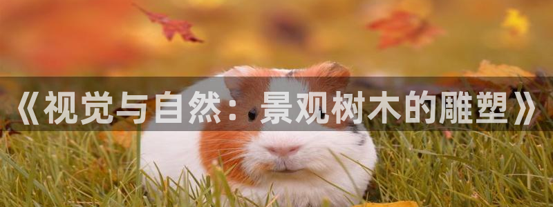 卧龙水上娱乐：《视觉与自然：景观树木的雕塑》