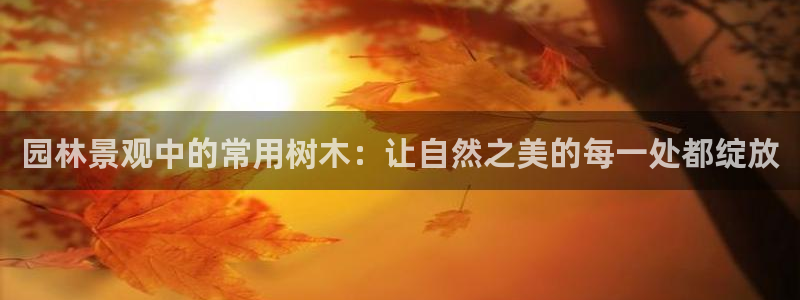 SKY娱乐卧龙招商60447