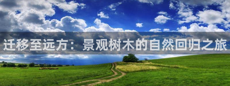 卧龙游乐娱乐设备