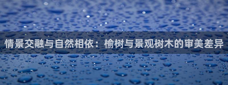 卧龙港休闲娱乐会所