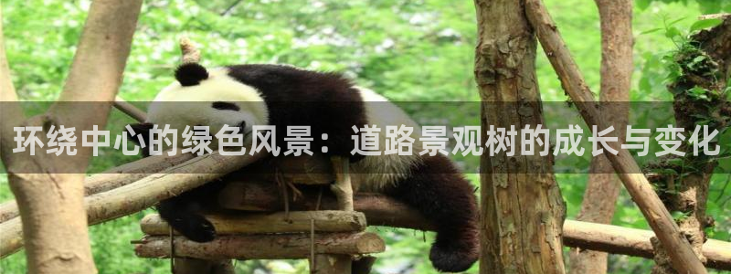 卧龙休闲娱乐优惠