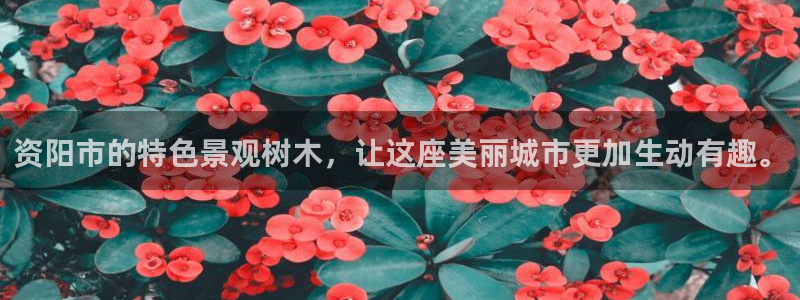 卧龙天尊国际娱乐会所：资阳市的特色景观树木，让这座美丽城市更加生动有趣。