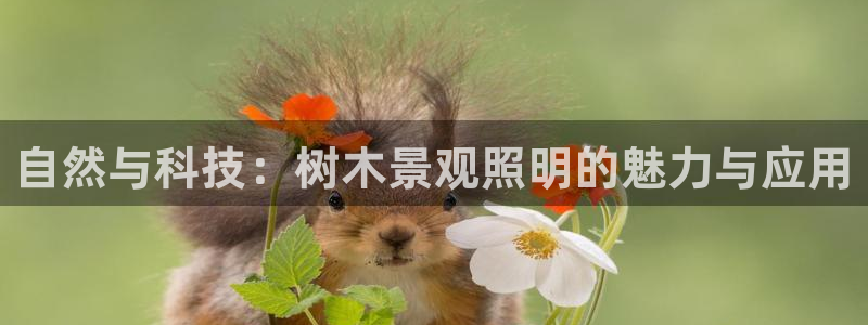 杏耀娱乐卧龙60447