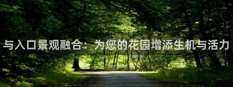 卧龙凤雏娱乐解说