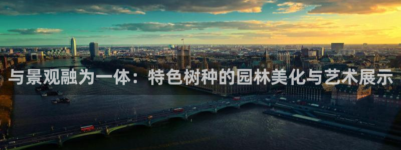 卧龙娱乐主管招聘