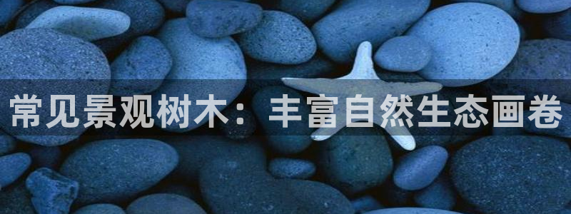 卧龙娱乐登录地址查询：常见景观树木：丰富自然生态画卷