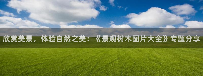 BA娱乐卧龙招商60447