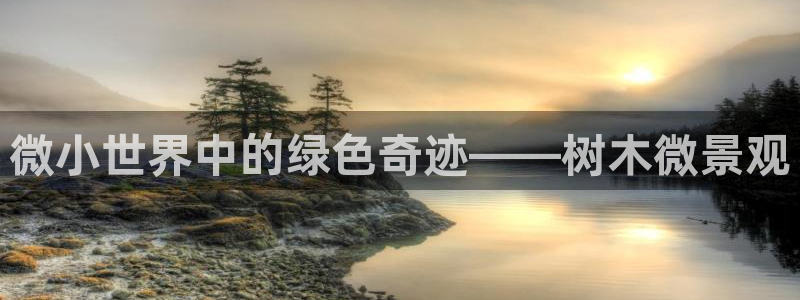 卧龙娱乐彩票中奖了吗