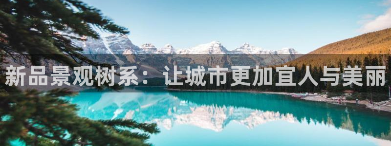 悉尼卧龙岗娱乐