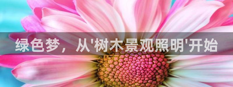 hr娱乐 扣卧龙60447