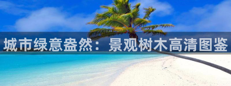 南阳卧龙区娱乐
