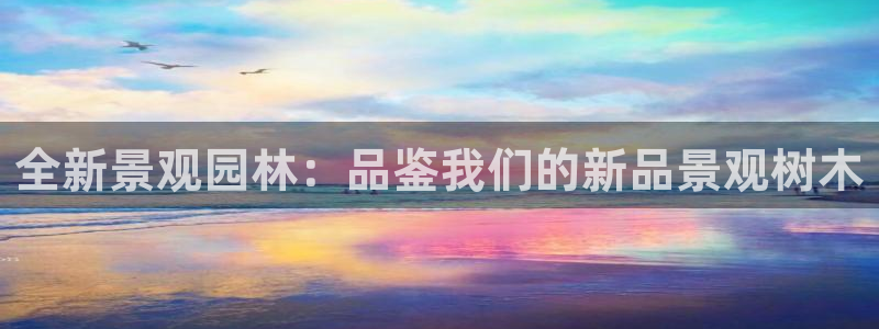 卧龙娱乐可靠吗