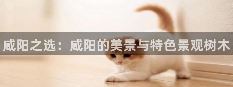 卧龙台球娱乐