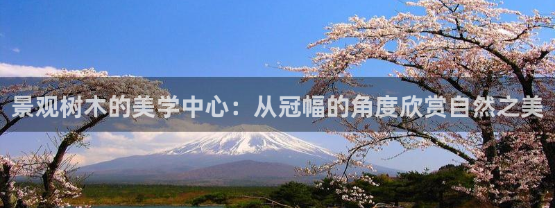 柏林娱乐 044 卧龙