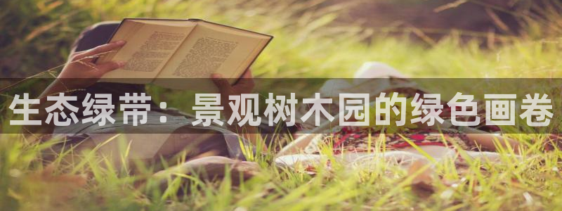 卧龙娱乐怎么样啊