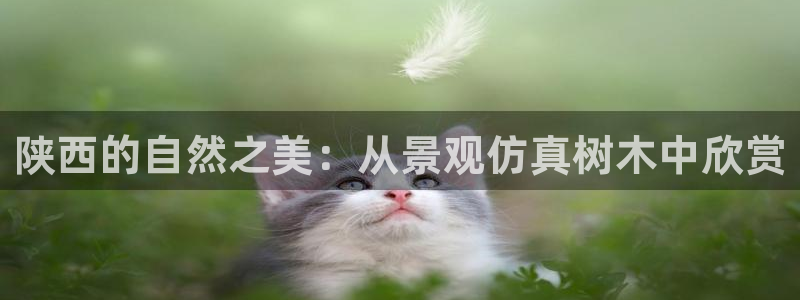 卧龙凤雏娱乐抖音