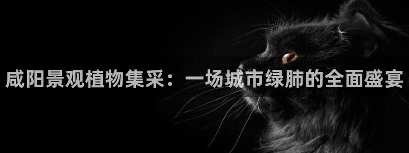 卧龙港休闲娱乐会所