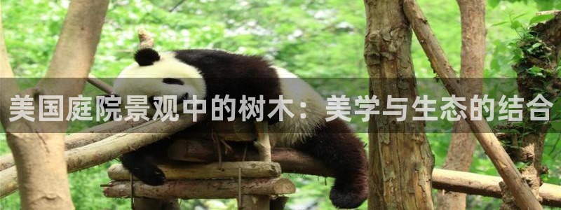 凤岗卧龙台球娱乐会所