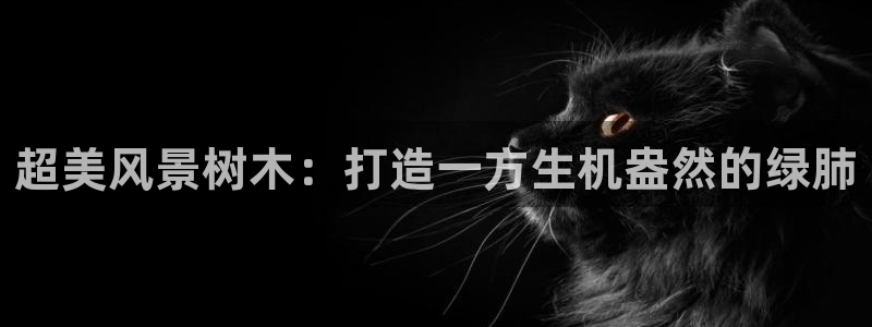 卧龙凤锄娱乐直播