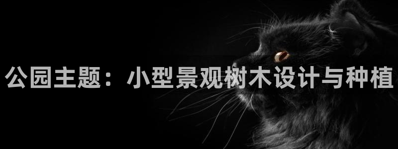 SKY娱乐 卧龙主管60447