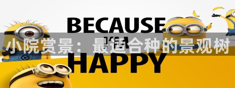 开远卧龙谷娱乐
