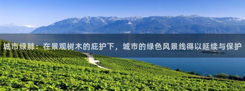 卧龙娱乐招商主管薪资