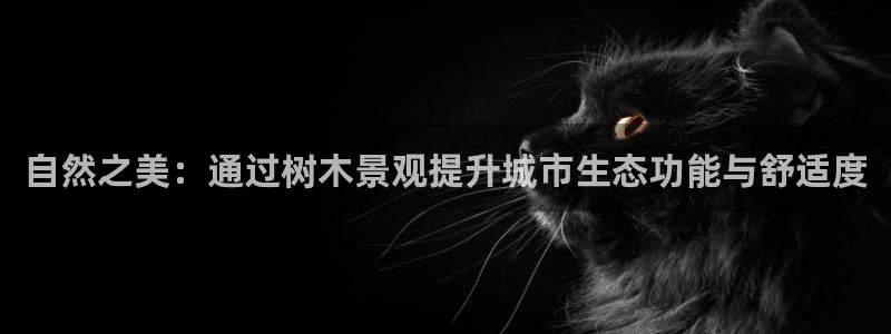 sky娱乐畅通卧龙86877