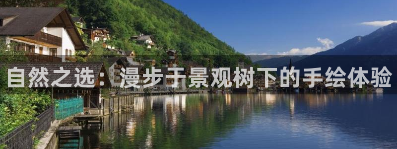 卧龙娱乐月