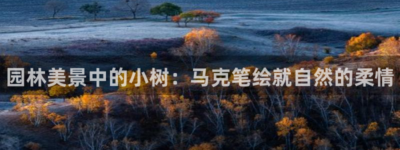 卧龙儿童娱乐海洋球