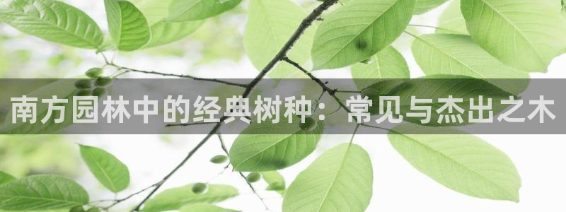 卧龙娱乐是什么